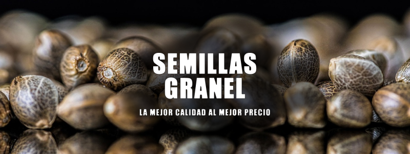 s semillas